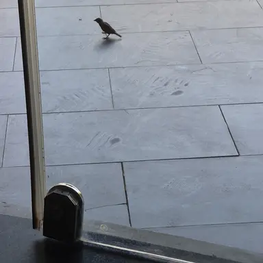 Profile image of 황대헌