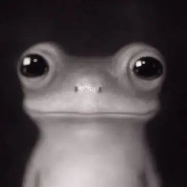 Profile image of カエル