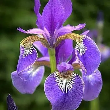 Profile image of 나경