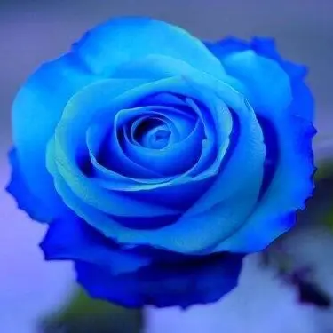 Profile image of 지헌