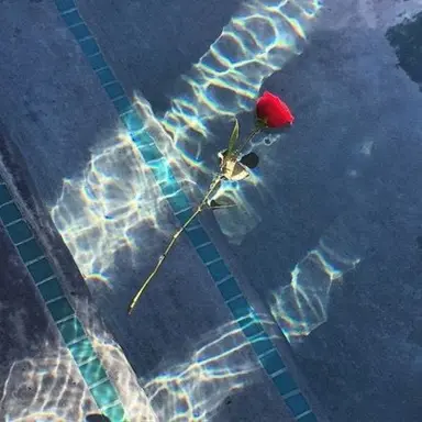 Profile image of 서 한솔