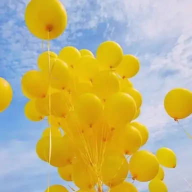 Profile image of 김 일영