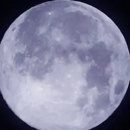 Profile image of 김하온