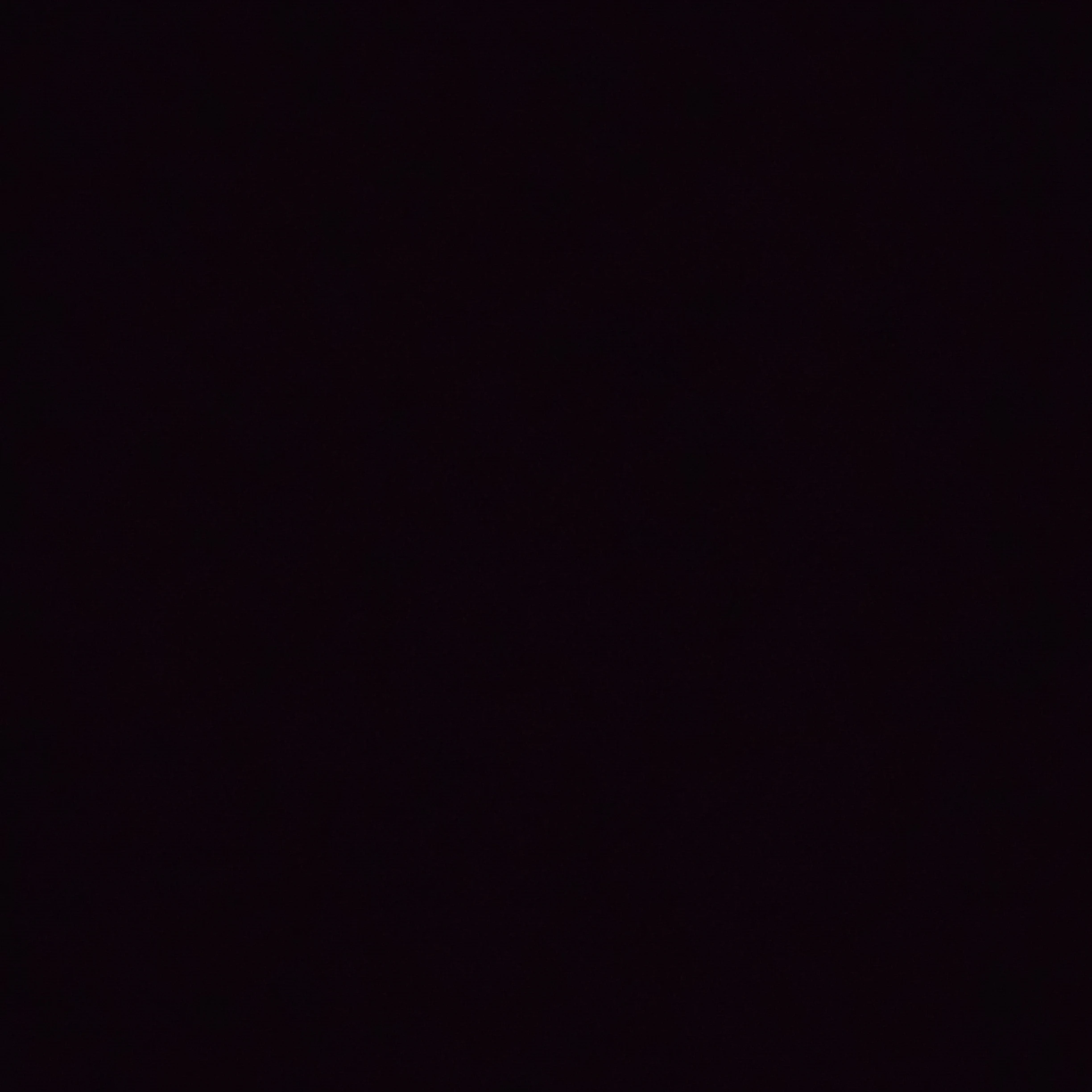 도도한 친구들 콘서트
