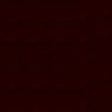 Profile image of 허즈위안