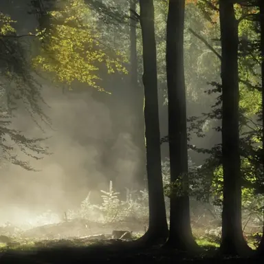 Profile image of 루크