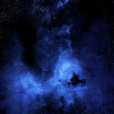 Profile image of 파이브