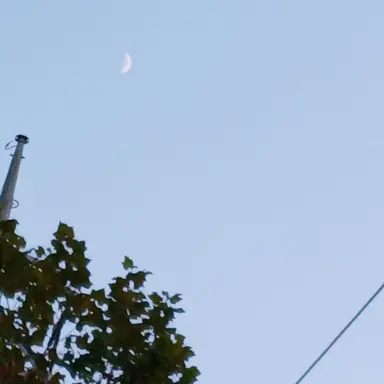 Profile image of 크리스턴