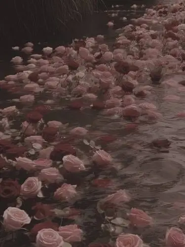 ExoticCrow0877의 [부산조] 연민, 동질감.