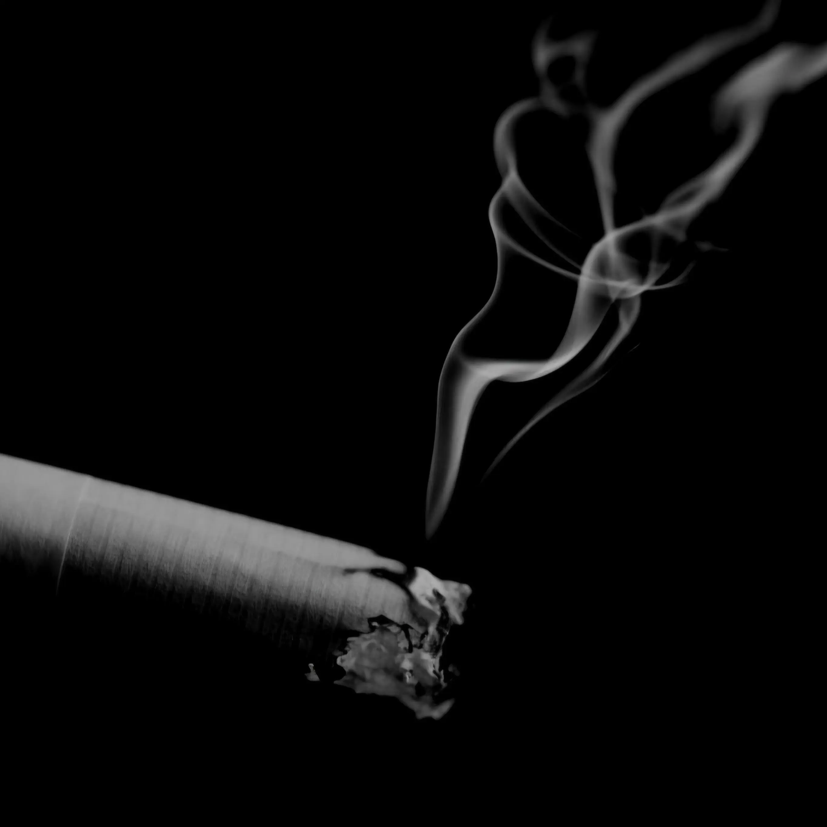 Ghost_WIFE의 고착