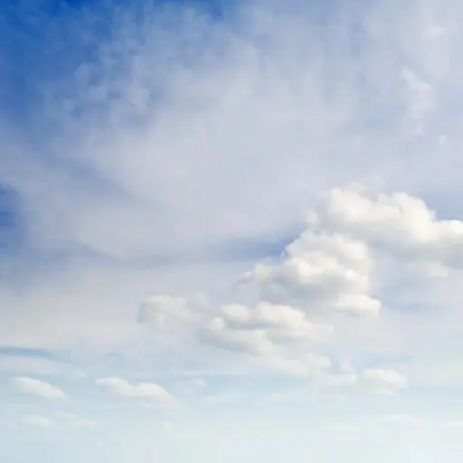 123456899의 아무거나