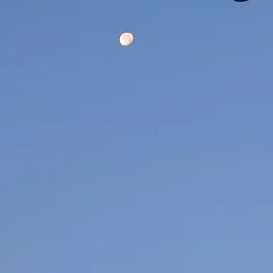 Profile image of 백유건