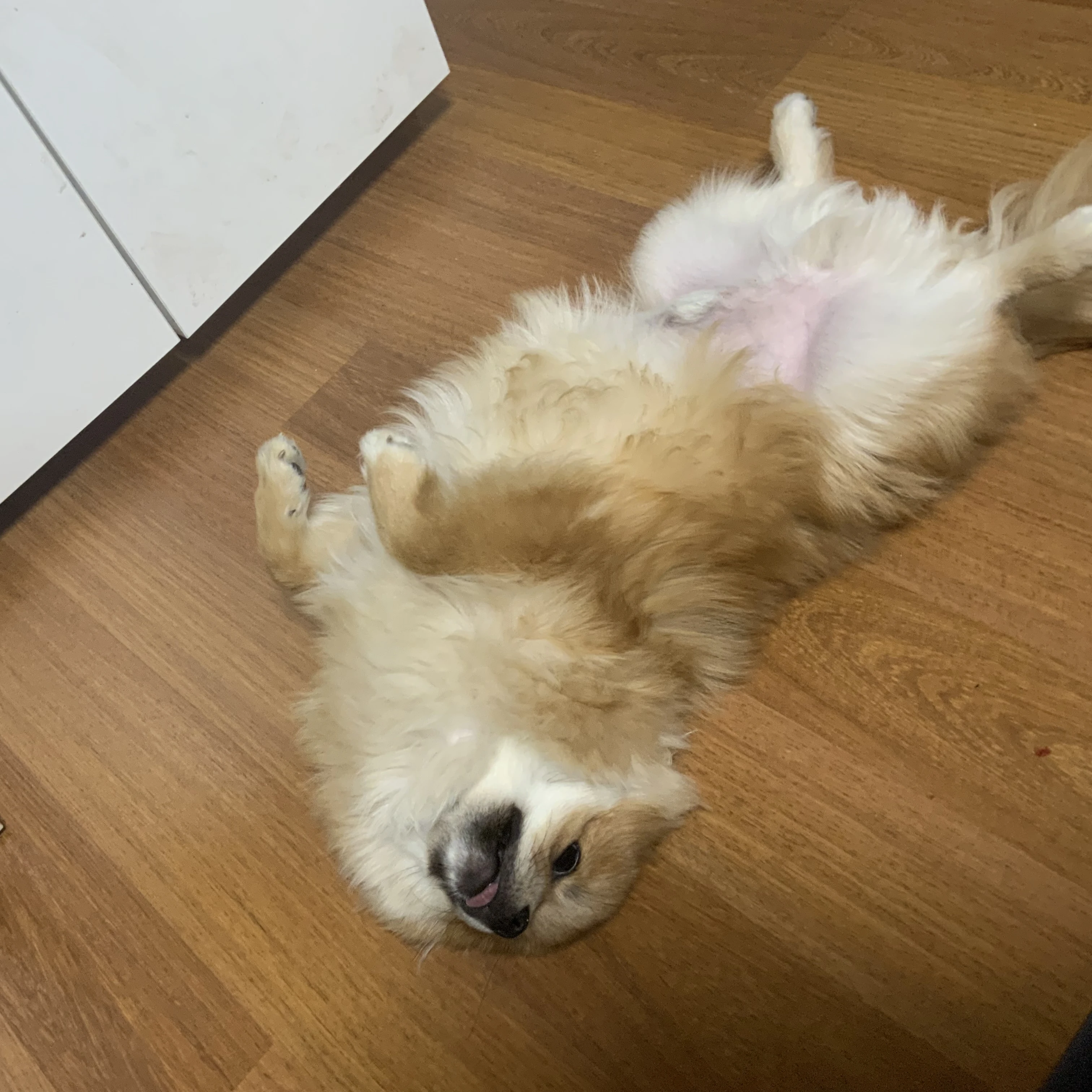 은진
