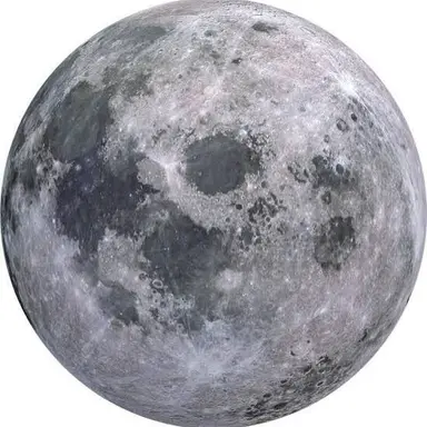 Profile image of タプ