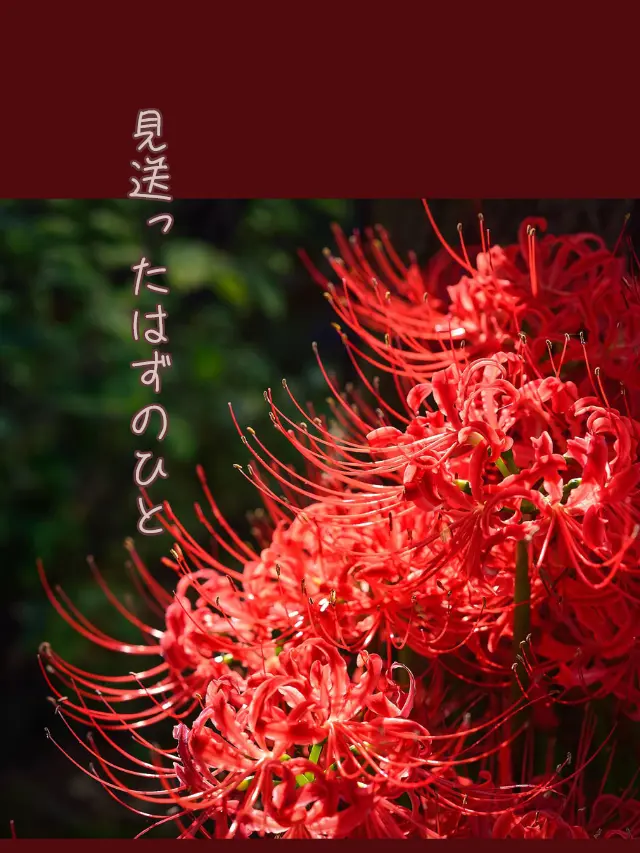 Galza_urto_의 見送ったはずのひと🏢