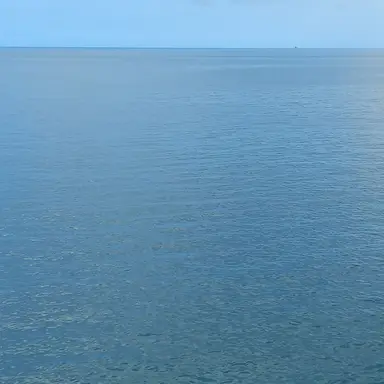 Profile image of 아이네