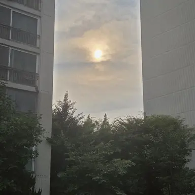 Profile image of 실험체
