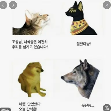 Profile image of 늑대