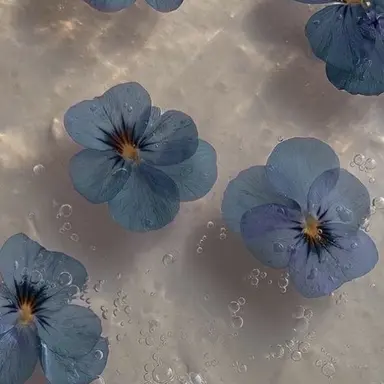 Profile image of 잭