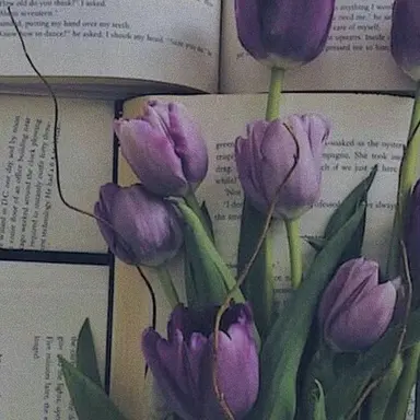 Profile image of 리온