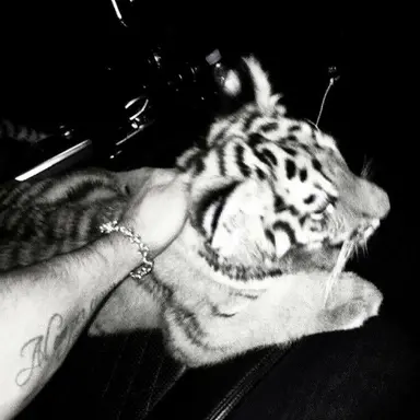 Profile image of Dominic