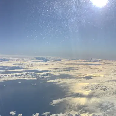 Profile image of Sol