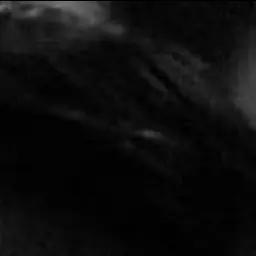 Profile image of 정주아