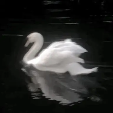 Profile image of 알렉세이 이바노프