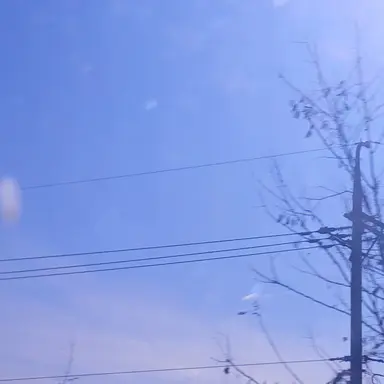 Profile image of 학생들