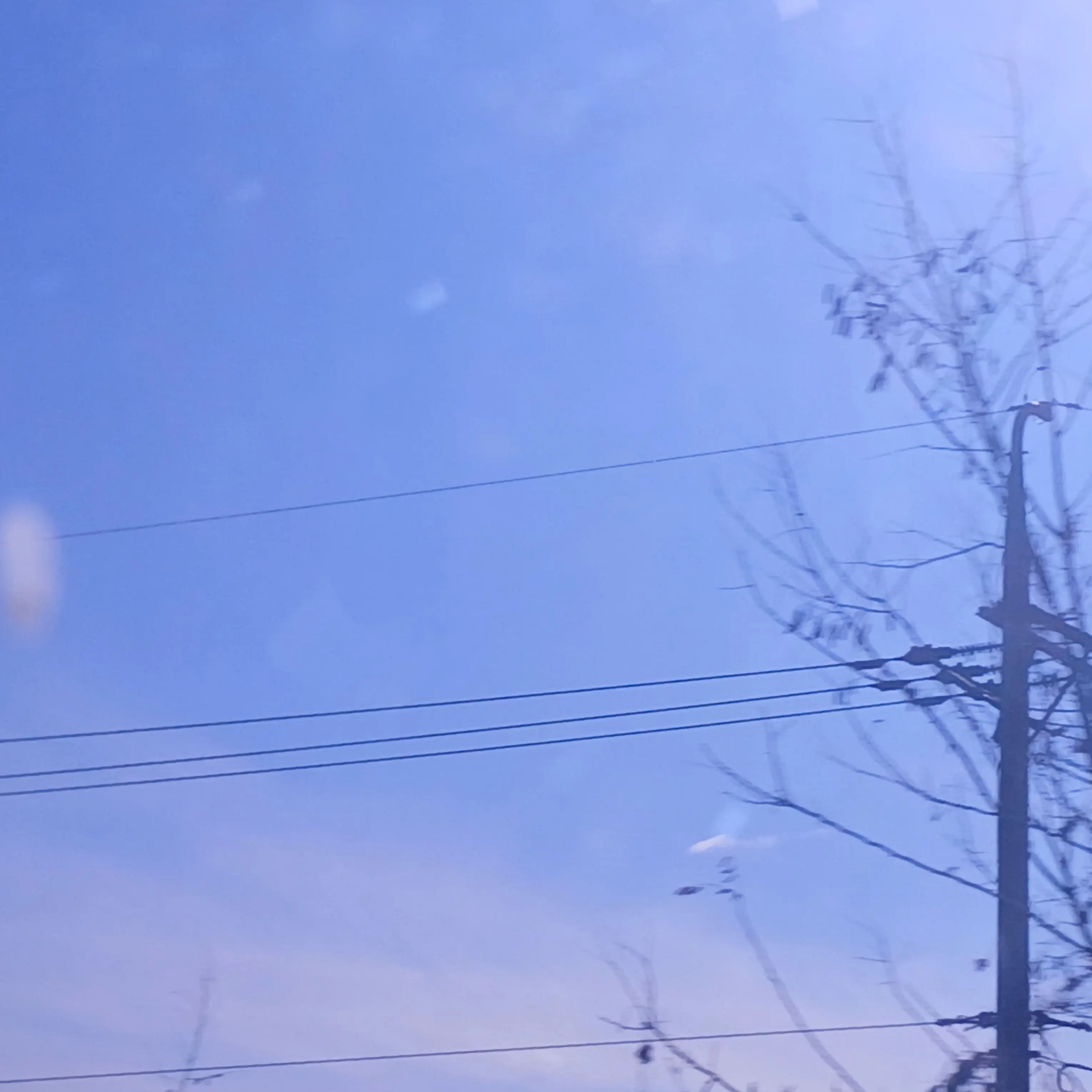 VastGate9128의 아이브 이서 졸업식