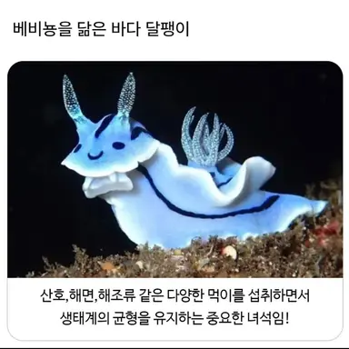 Profile image of 달팽이