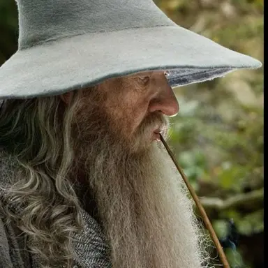 Profile image of Gandalf