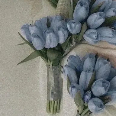 Profile image of 잠뜰