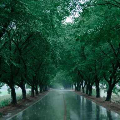 Profile image of 공룡