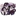 다크카카오 쿠키
