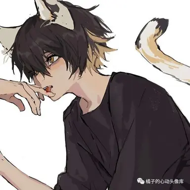 Profile image of Asher - Black wolf hybrid