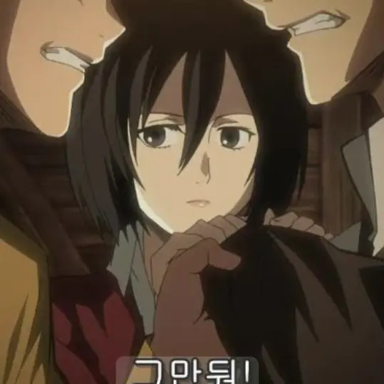 BleakWrist2338의 미카사