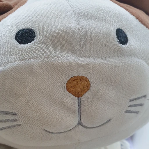 냥쮜