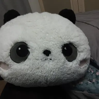 Profile image of 동스플