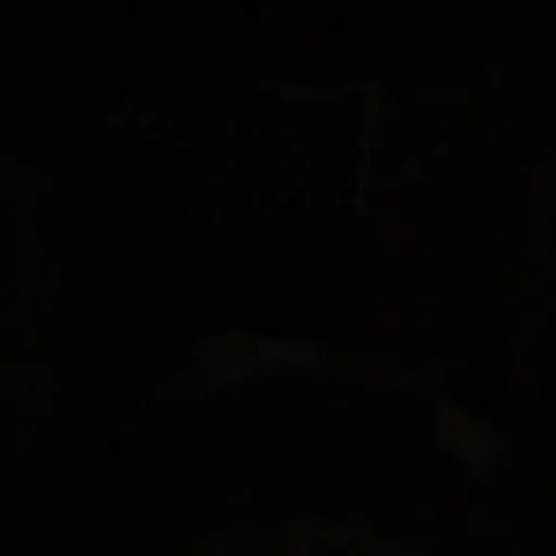 bbasunni의 오시온