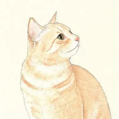 Profile image of ノラ