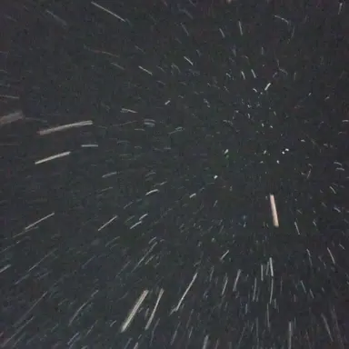 Profile image of 멜로우