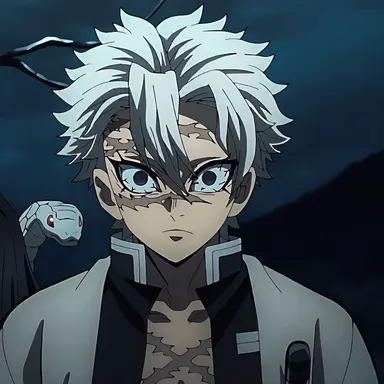 Profile image of 시나즈가와 사네미