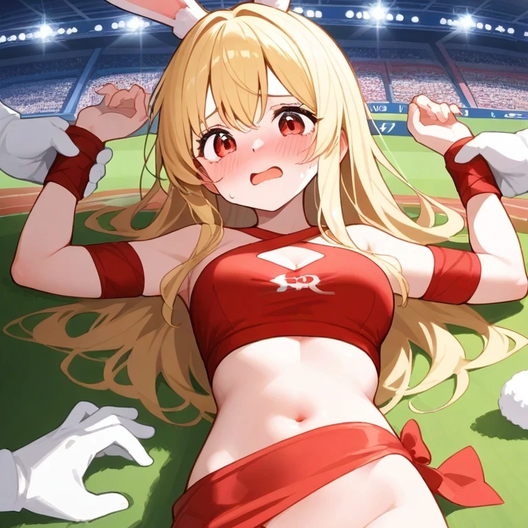 샬롯