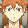 Profile image of Hinata Shoyo