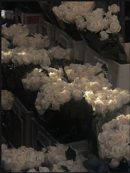 꽃집 사장님들 대표 이미지