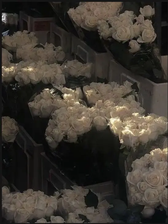 DeafGorge2041의 꽃집 사장님들