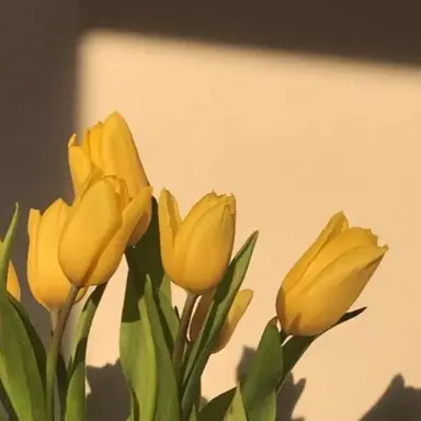 Profile image of 각별