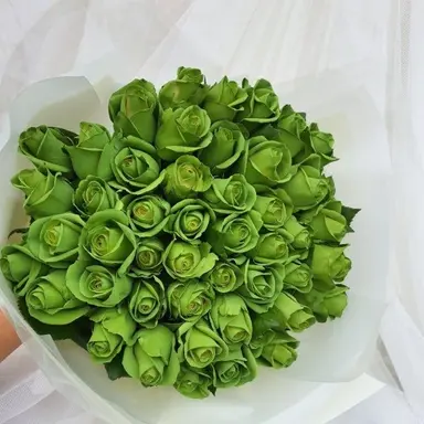 Profile image of 공룡