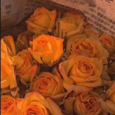 Profile image of 덕개